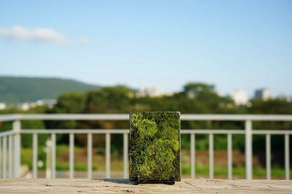 Mini Moss Fern Terrarium Frame – 12x17CM Glass Landscape Display with Stand for Succulents, Tabletop Decor and Nature-Inspired Home Styling