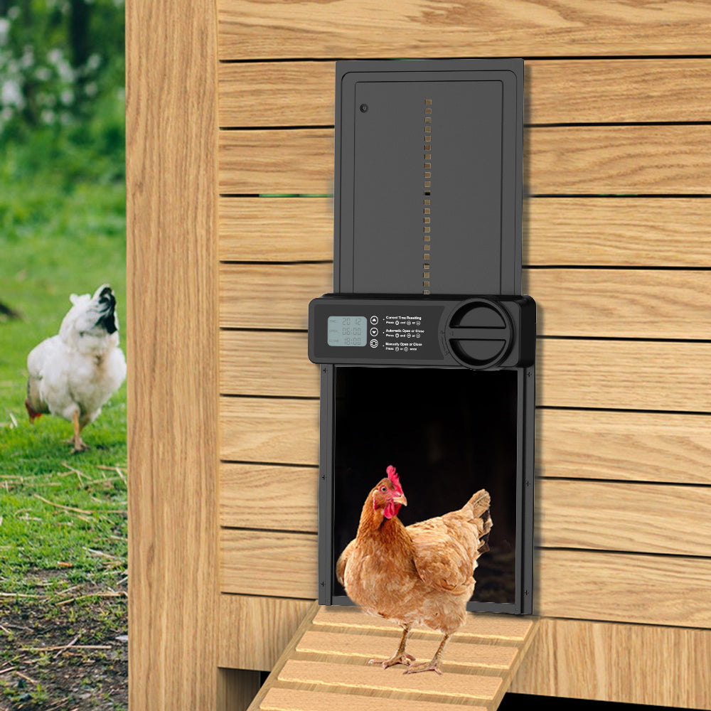 Smart Aluminum Alloy Automatic Chicken Coop Door – Hen Flap with Timer & Manual Mode, Anti-Clamp Design for Poultry Safety