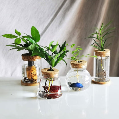 Glass Vase Propagation Station – Tabletop Hydroponic Plant Rack for Cuttings, Indoor Greenery and Stylish Home or Office Decor