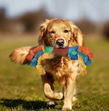 Rainbow Twist Candy Dog Chew Toy - Colorful Squeaky Bite-Resistant Toy for Teeth Grinding and Interactive Pet Playtime
