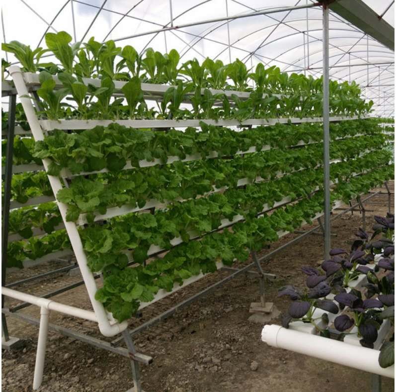 NFT Hydroponic Grow Kit – 36-Hole Indoor Greenhouse Planting Box Gardening System with Nursery Pots and Vertical Growing Rack