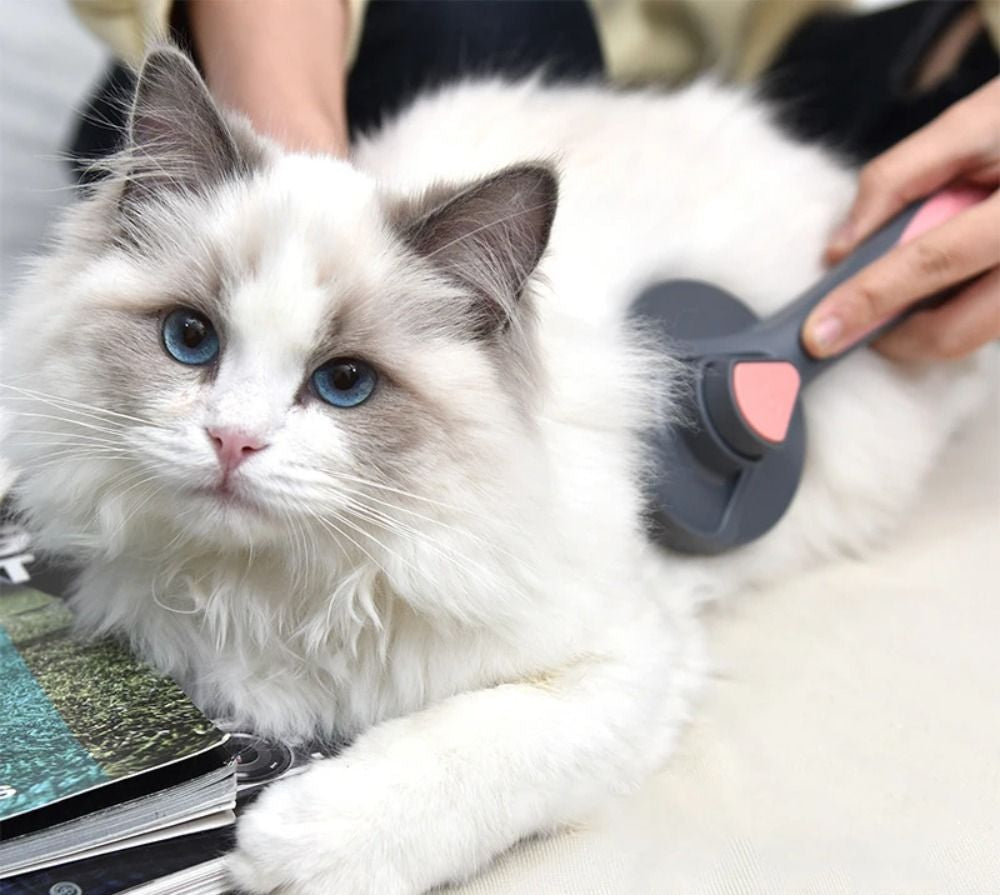 Loose Fur Cat Comb – Grooming Brush for Removing Shedding Hair, Detangling Coats and Keeping Indoor Cats Neat and Comfortable