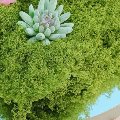 Artificial Fresh Green Moss Mat – Realistic Polyester Lawn Decor for Parties, Events, Indoor Displays, Outdoor Styling and Creative Backdrops