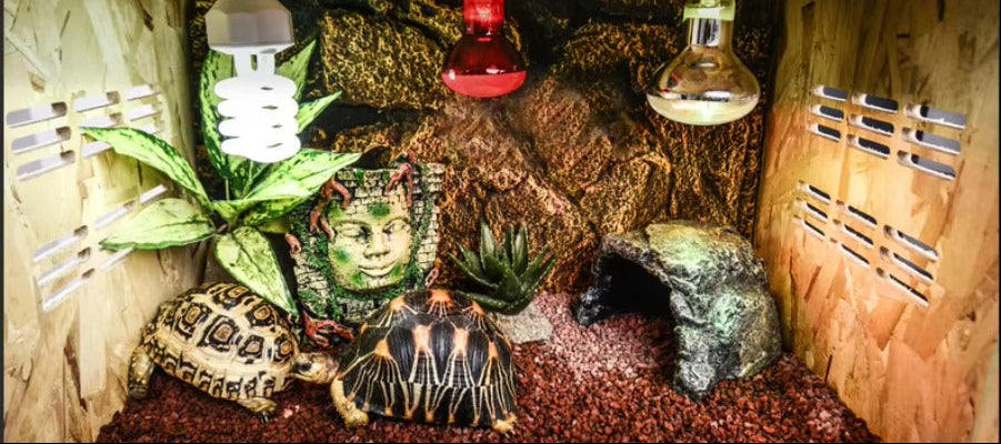 Reptile Terrarium with Rain System – Glass Heated Vivarium and Climbing Enclosure for Chameleons, Lizards, Sugar Gliders and Exotic Pets