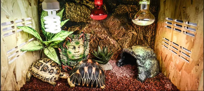 Reptile Terrarium with Rain System – Glass Heated Vivarium and Climbing Enclosure for Chameleons, Lizards, Sugar Gliders and Exotic Pets