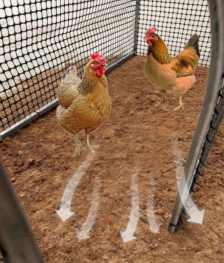 Folding Chicken Run Tunnel – 1-Meter Thickened Plastic Poultry Fence for Safe Outdoor Exercise, Backyard Roaming and Household Chicken Enclosures