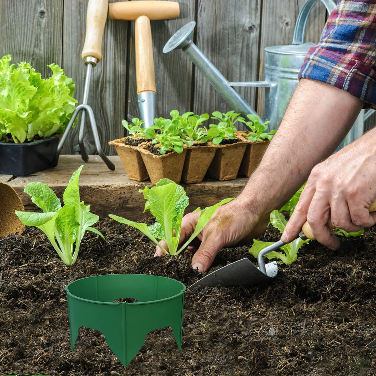 Plant Grow Protection Ring – Deep-Watering Circular Landscape Edging for Garden Beds, Root Care, Planting Support and Cleaner Organized Outdoor Growing