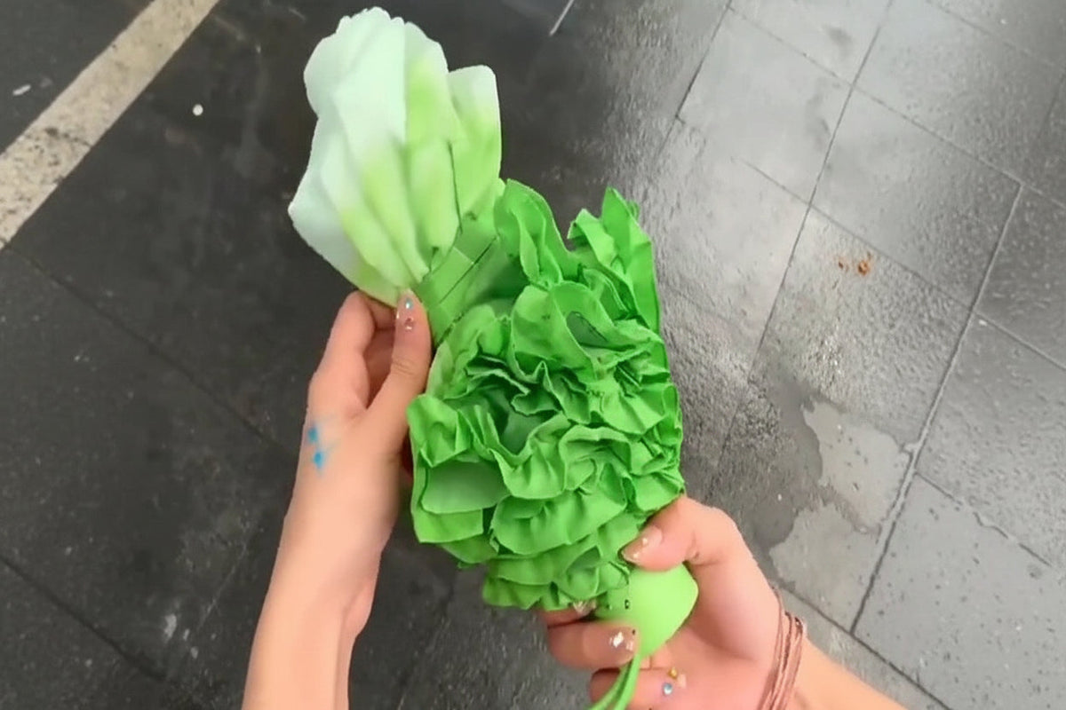 Creative Cabbage Umbrella – Funny Lettuce-Inspired Folding Parasol with UV and Rain Protection for Beach Trips, Travel, Novelty Gifts and Everyday Fun