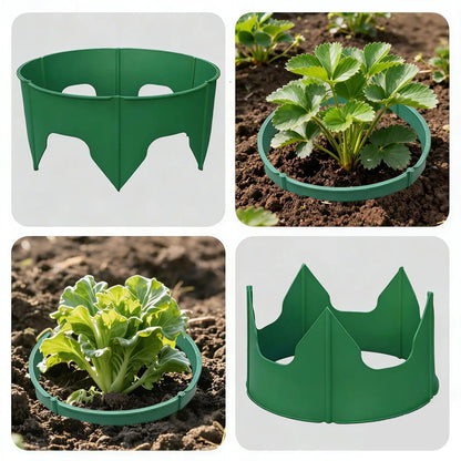 Plant Grow Protection Ring – Deep-Watering Circular Landscape Edging for Garden Beds, Root Care, Planting Support and Cleaner Organized Outdoor Growing