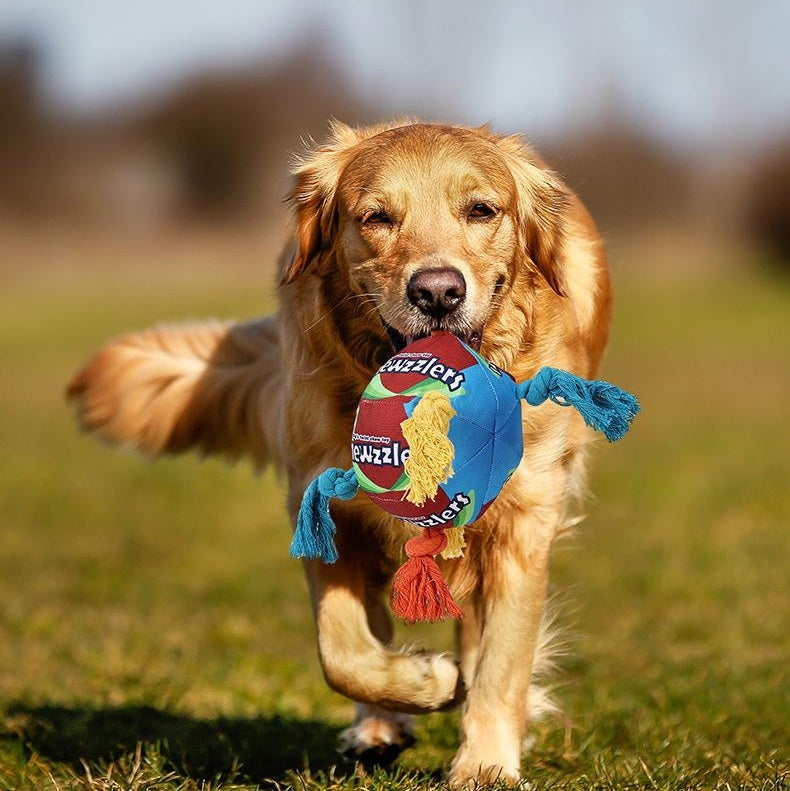 Rainbow Twist Candy Dog Chew Toy - Colorful Squeaky Bite-Resistant Toy for Teeth Grinding and Interactive Pet Playtime