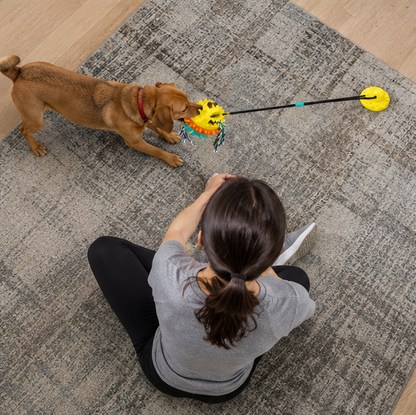 Dog Suction Cup Toy - Interactive Teeth Cleaning Treat Dispenser for IQ Training and Fun Playtime with Small Large Dogs