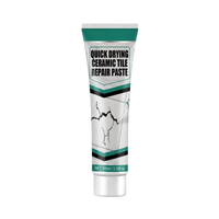 Ceramic Repair Paste Kit