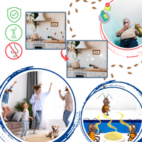 Odorless Cockroach Traps
