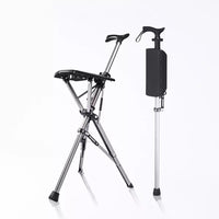 Walking stick with seat