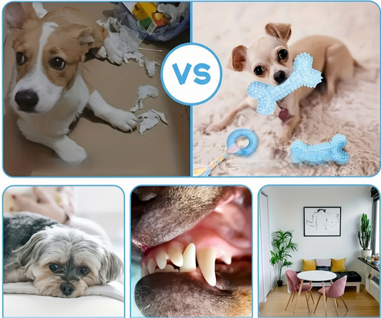 Assorted Dog Chew Toy Set – Knots, Ropes, Balls, and Spiky Rings, 5/10/15 Pieces, Perfect Teething Gift for Small Dogs and Interactive Play