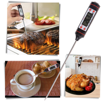 Digital food thermometer