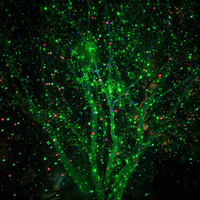 Outdoor Laser Light Projector