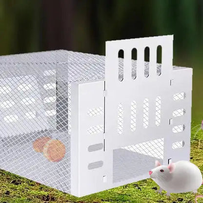 Self-Activating Mouse Trap