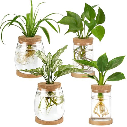 Glass Vase Propagation Station – Tabletop Hydroponic Plant Rack for Cuttings, Indoor Greenery and Stylish Home or Office Decor
