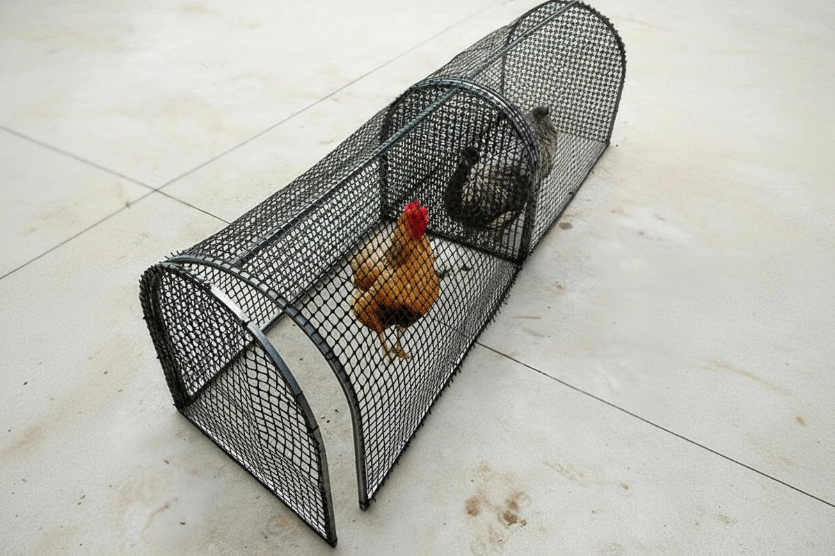 Folding Chicken Run Tunnel – 1-Meter Thickened Plastic Poultry Fence for Safe Outdoor Exercise, Backyard Roaming and Household Chicken Enclosures