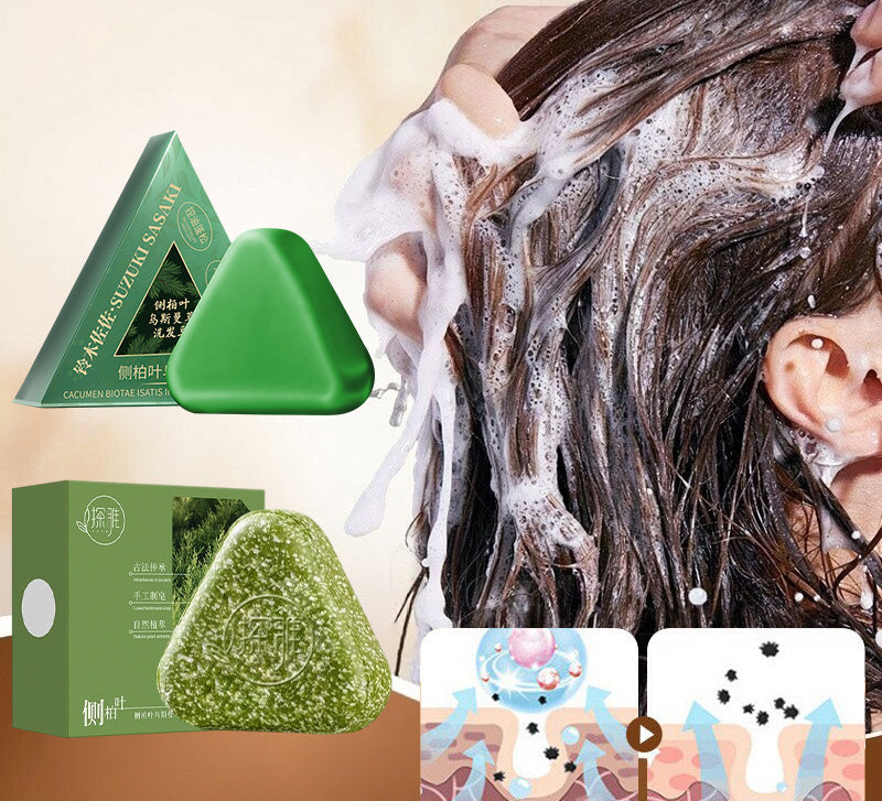 Platycladus Herbal Shampoo Soap – Natural Scalp Cleansing Bar for Oil Control, Stronger-Looking Roots and Healthy Everyday Hair Care