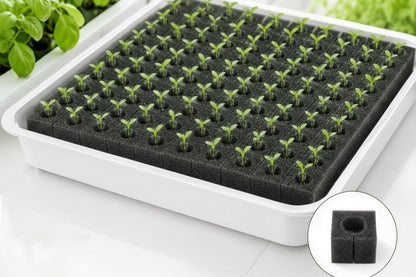Hydroponic Grow Sponge Set – Soilless Seedling Plugs for Nursery Trays, Vegetable Propagation, Indoor Gardens and Seed Starting