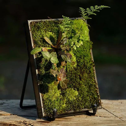Mini Moss Fern Terrarium Frame – 12x17CM Glass Landscape Display with Stand for Succulents, Tabletop Decor and Nature-Inspired Home Styling