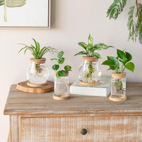 Glass Vase Propagation Station – Tabletop Hydroponic Plant Rack for Cuttings, Indoor Greenery and Stylish Home or Office Decor