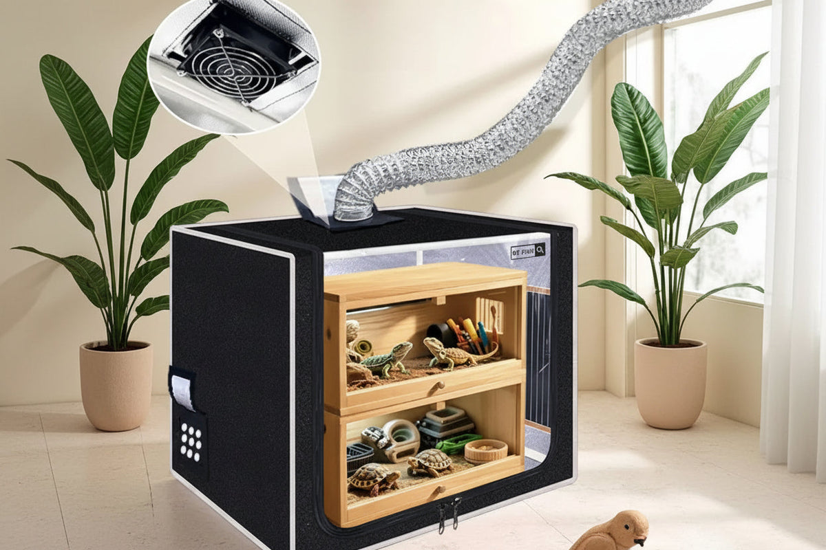 Reptile Terrarium – Secure Enclosure Habitat for Lizards, Geckos and Small Reptiles with Versatile Indoor Display and Care Setup