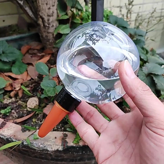 Automatic Plant Watering Bulbs Set – 500ML Self-Watering Globes for Potted Plants, Drip Irrigation and Indoor Gardening Care