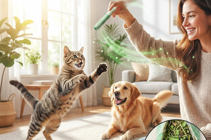 Mint Cat Chew Sticks – Cigarette-Shaped Teaser Toys for Biting, Oral Cleaning, Interactive Play, Boredom Relief and Indoor Cat Enrichment