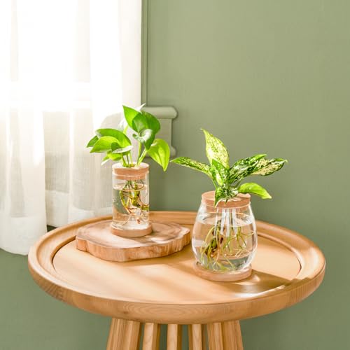 Glass Vase Propagation Station – Tabletop Hydroponic Plant Rack for Cuttings, Indoor Greenery and Stylish Home or Office Decor
