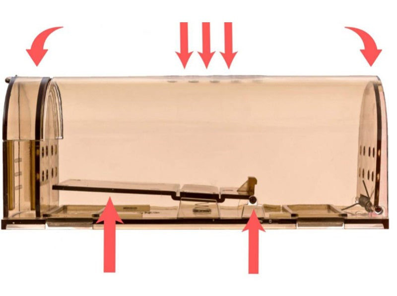 Reusable Humane Mouse Trap – Transparent Self-Locking Mousetrap for Indoor and Outdoor Rodent Control