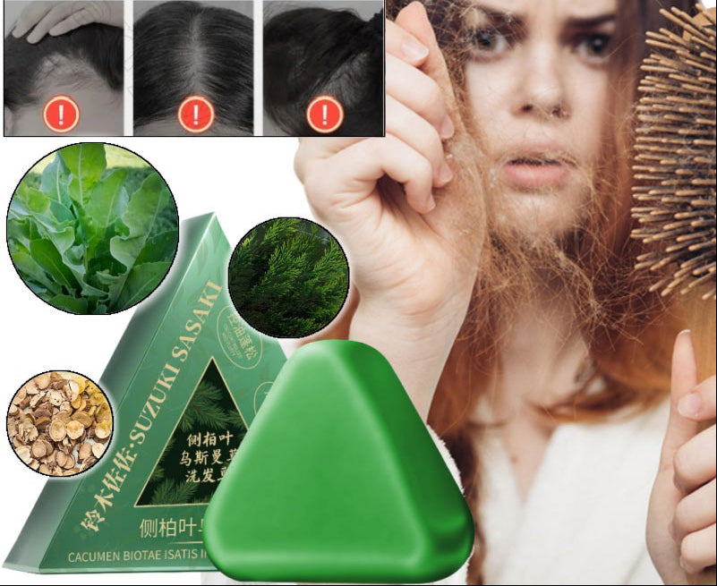 Platycladus Herbal Shampoo Soap – Natural Scalp Cleansing Bar for Oil Control, Stronger-Looking Roots and Healthy Everyday Hair Care