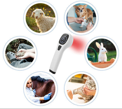 Handheld Red Light Laser Device – 808nm Cold Laser Physiotherapy Instrument for Pain Relief and Recovery