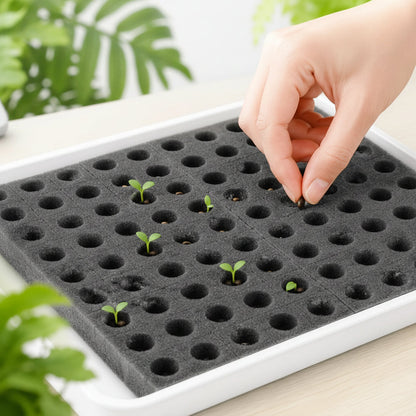 Hydroponic Grow Sponge Set – Soilless Seedling Plugs for Nursery Trays, Vegetable Propagation, Indoor Gardens and Seed Starting