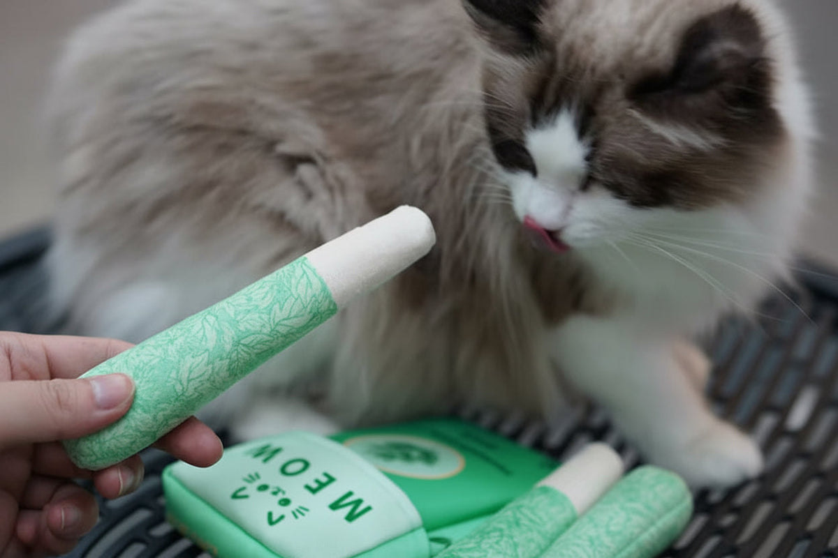 Mint Cat Chew Sticks – Cigarette-Shaped Teaser Toys for Biting, Oral Cleaning, Interactive Play, Boredom Relief and Indoor Cat Enrichment