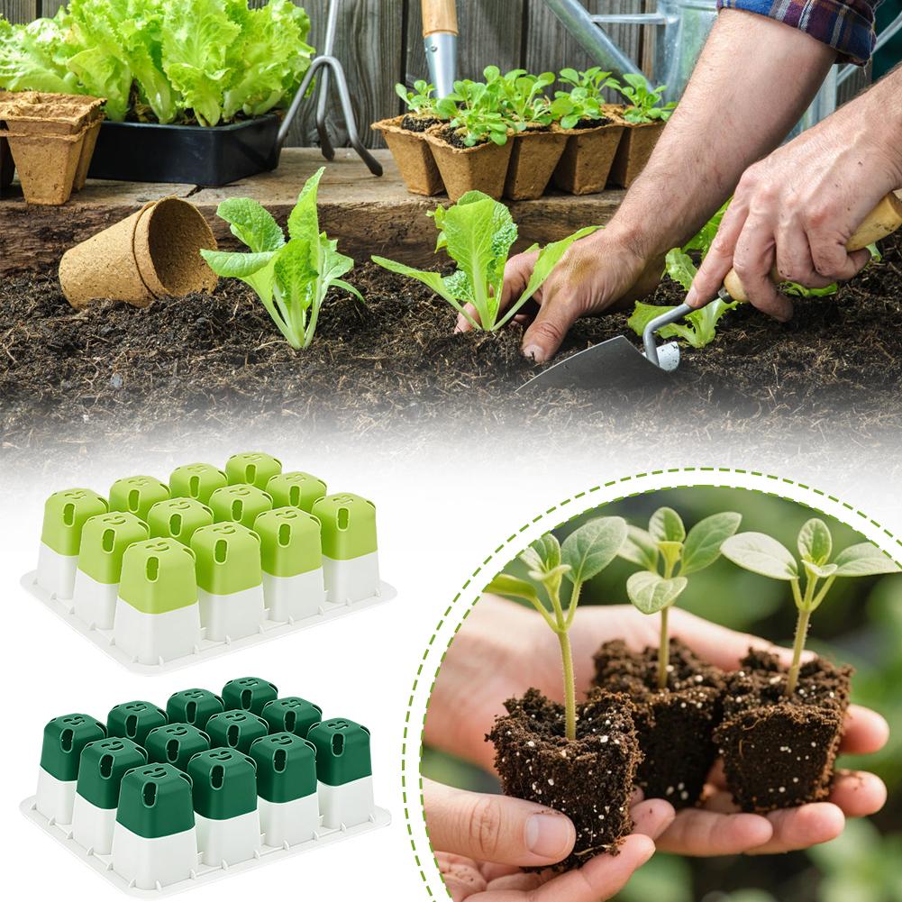 Seedling Starter Tray –12-Cell Indoor Germination Box with Transparent Cover and Adjustable Humidity for Greenhouse Seeds, Vegetables and Healthy Plant Growth