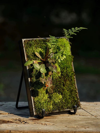 Mini Moss Fern Terrarium Frame – 12x17CM Glass Landscape Display with Stand for Succulents, Tabletop Decor and Nature-Inspired Home Styling