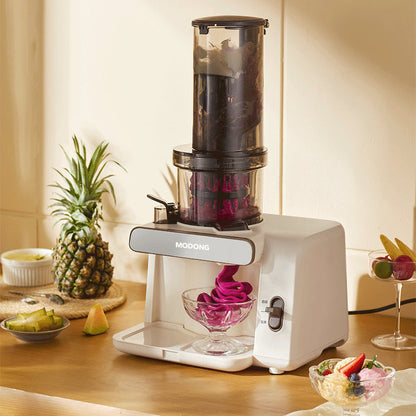 Slow Masticating Juicer – Low Speed Fruit and Vegetable Juice Extractor for Maximum Nutrition and Fresh Healthy Drinks
