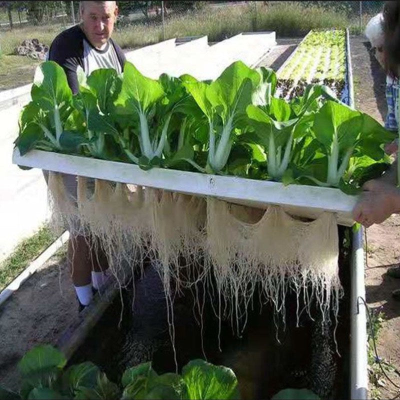 Hydroponic Planting Board – 24-Hole Floating Grow Raft for Fish Ponds, Balcony Gardens, Greenhouses, Soilless Vegetable Cultivation