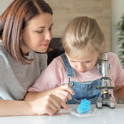 DIY Crystal Growing Experiment Kit - Educational Science Toy Set for Kids STEM Learning and Creative Holiday Gift Fun