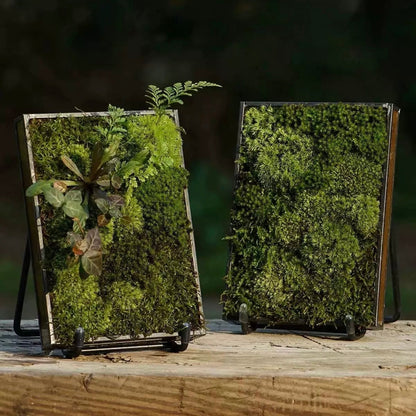 Mini Moss Fern Terrarium Frame – 12x17CM Glass Landscape Display with Stand for Succulents, Tabletop Decor and Nature-Inspired Home Styling