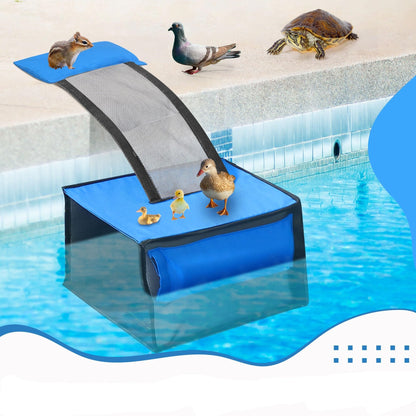 Animal Swimming Escape Ramp – Frog Rescue Ramp with Filter Catcher for Cleaning Leaves, Protecting Wildlife, and Pool Maintenance