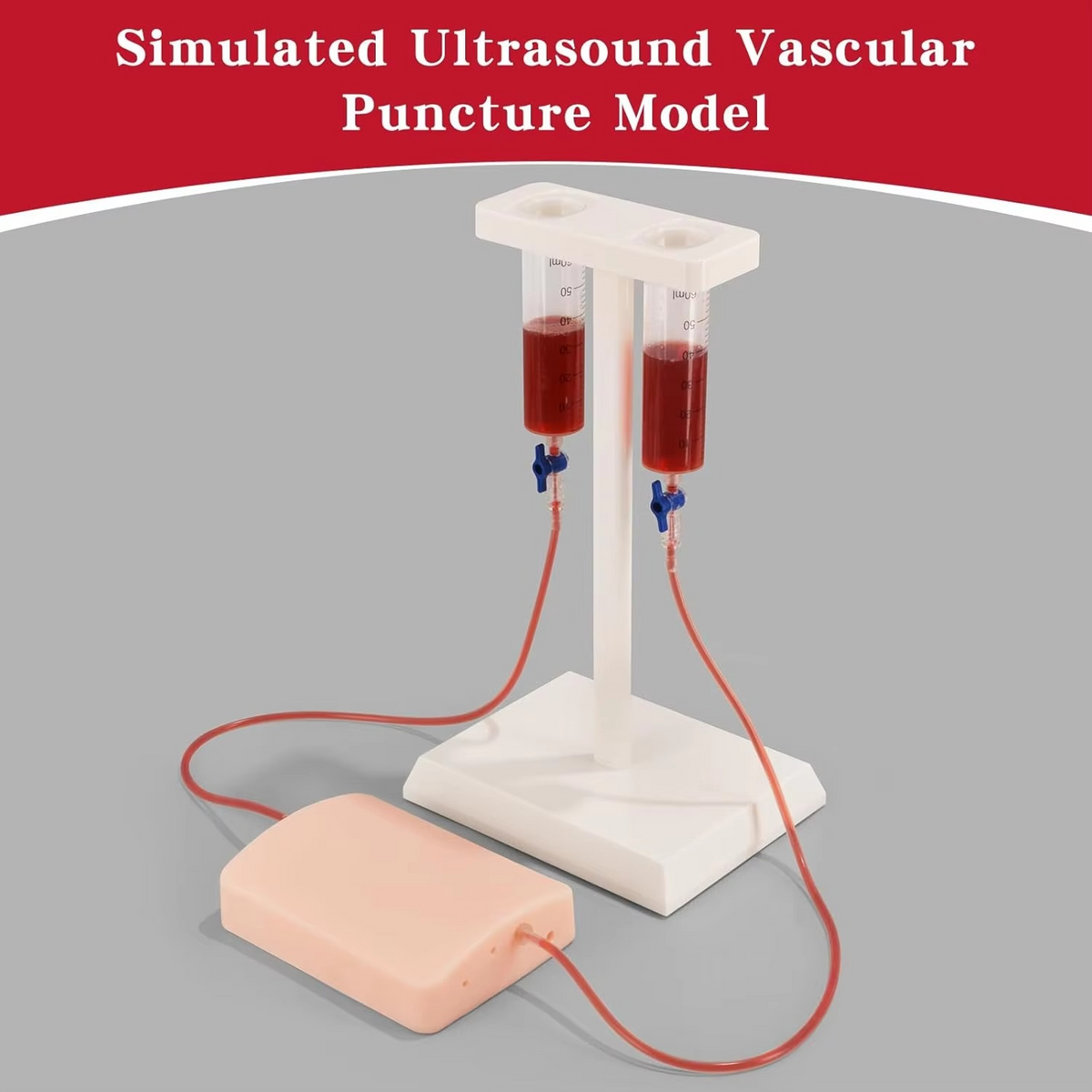 Ultrasound-Guided Vascular Puncture Training Model – Blood Circulation Simulation Injection Pad for Medical Ultrasound, Needle Placement and Clinical Practice