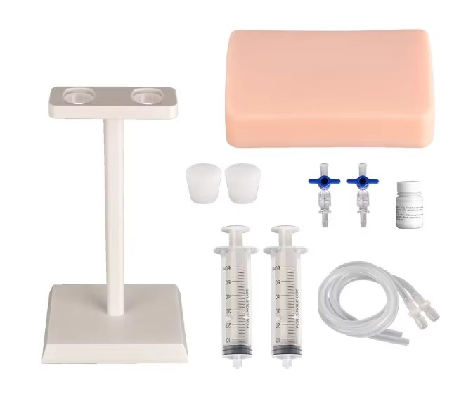 Ultrasound-Guided Vascular Puncture Training Model – Blood Circulation Simulation Injection Pad for Medical Ultrasound, Needle Placement and Clinical Practice