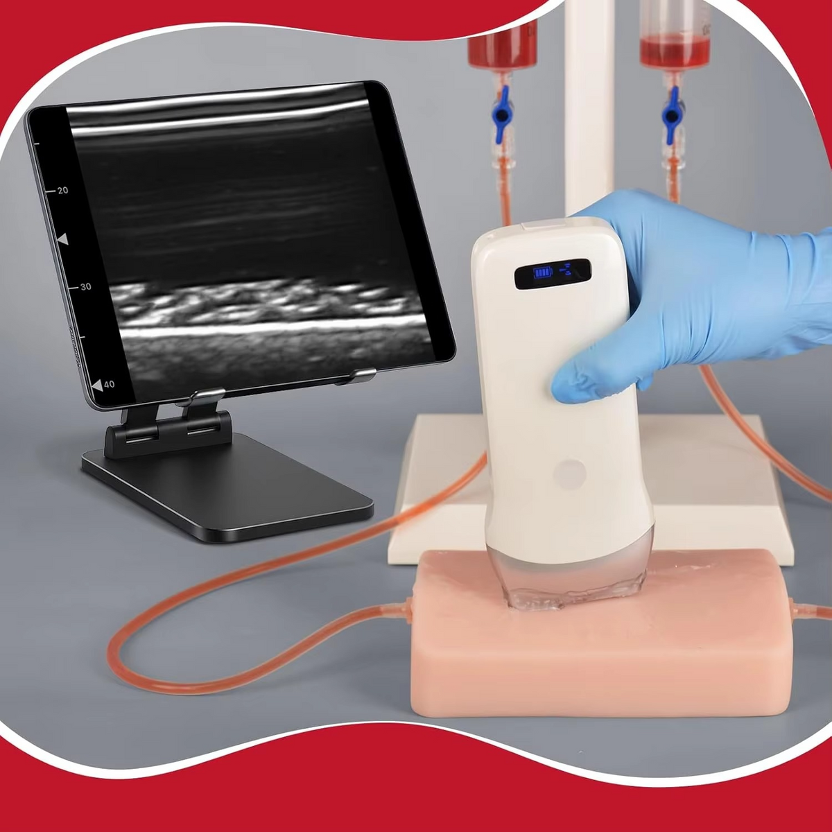 Ultrasound-Guided Vascular Puncture Training Model – Blood Circulation Simulation Injection Pad for Medical Ultrasound, Needle Placement and Clinical Practice