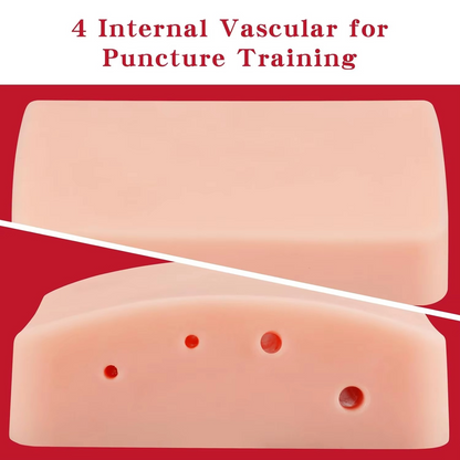 Ultrasound-Guided Vascular Puncture Training Model – Blood Circulation Simulation Injection Pad for Medical Ultrasound, Needle Placement and Clinical Practice