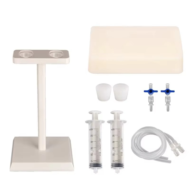 Ultrasound-Guided Vascular Puncture Training Model – Blood Circulation Simulation Injection Pad for Medical Ultrasound, Needle Placement and Clinical Practice