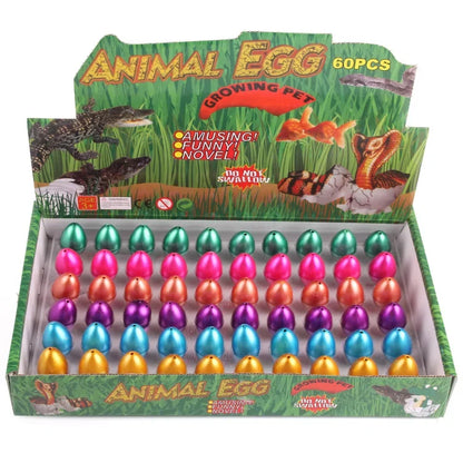 Magic Growing Dinosaur Eggs Set - Water Hatching Educational Surprise Toys for Kids with 60 Colorful Dinosaur Eggs